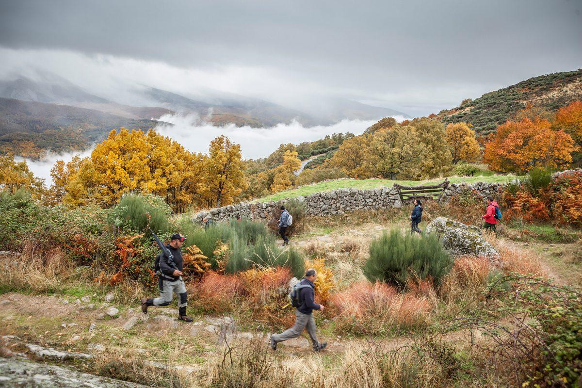 Entre cerezos y castaños en Gargantilla, Valle del Ambroz. FOTO DIVA