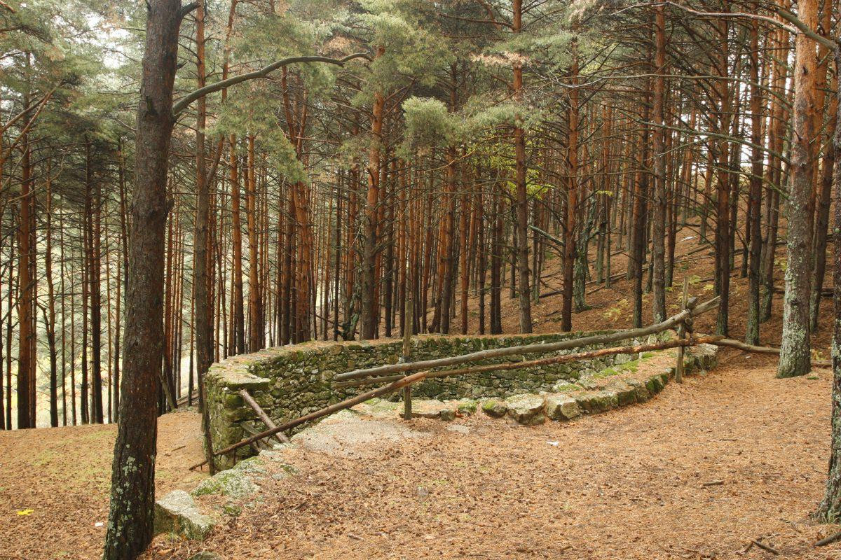 Por Tierras del Lobo en La Garganta, Valle del Ambroz. FOTO DIVA