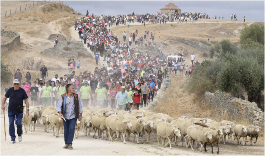 104 105 Ruta trashumante con motivo de la Feria Europea del Queso. Foto Turismo Casar de Caceres